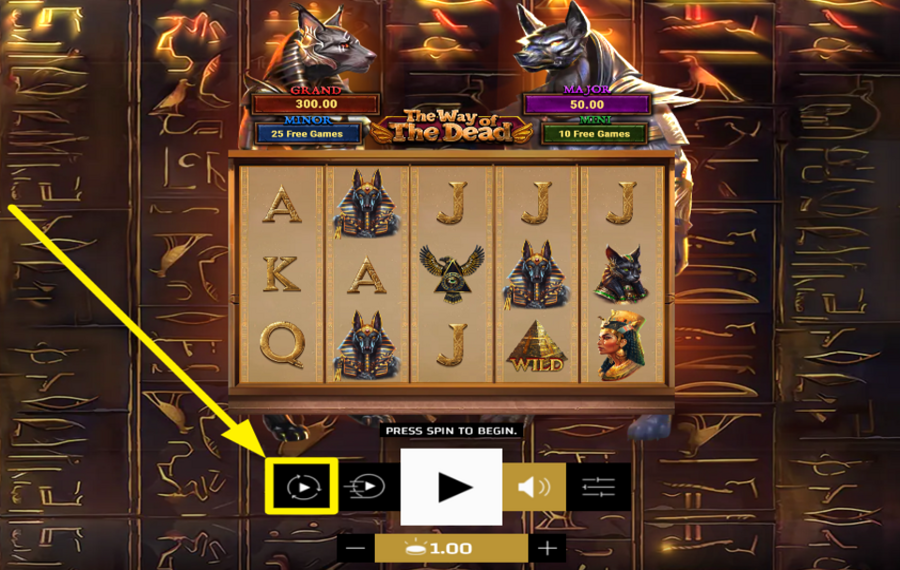 The Way of the Dead WÄHLEN SIE AUTOMATISCHE SPINS.