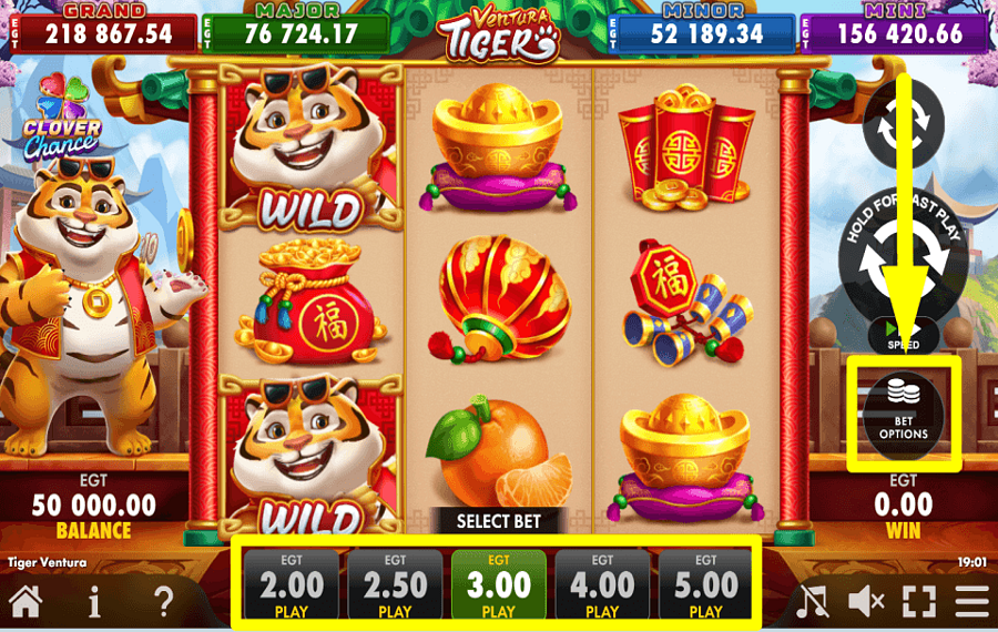 Tiger Ventura CHOOSE YOUR WAGER.