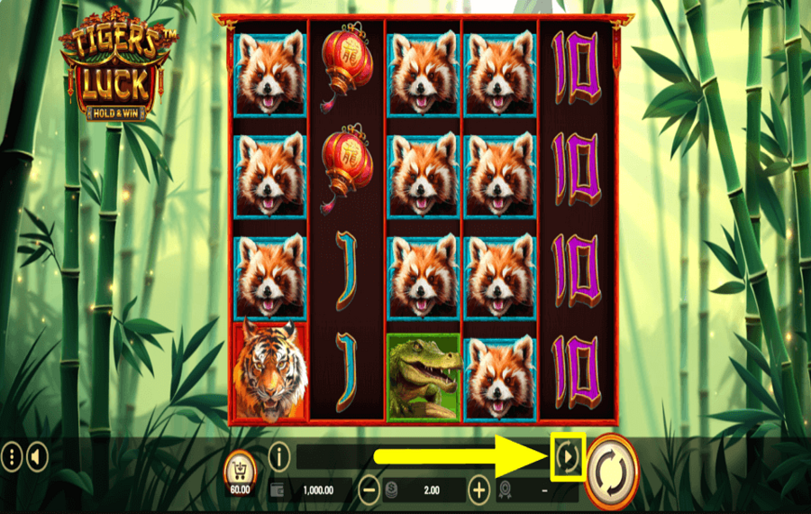 Tigers Luck Hold and Win ENTDECKEN SIE DIE AUTOPLAY-FUNKTION.