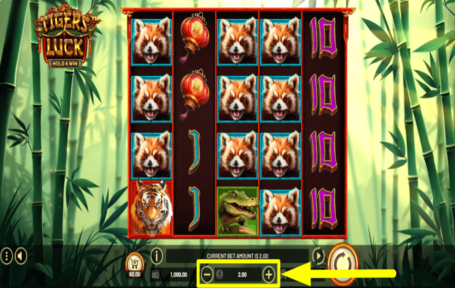 Tigers Luck Hold and Win WÄHLEN SIE IHREN EINSATZ.