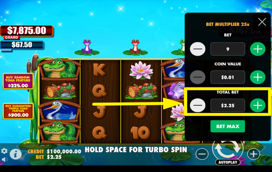 Tiny Toads PLACE THE TOTAL BET.