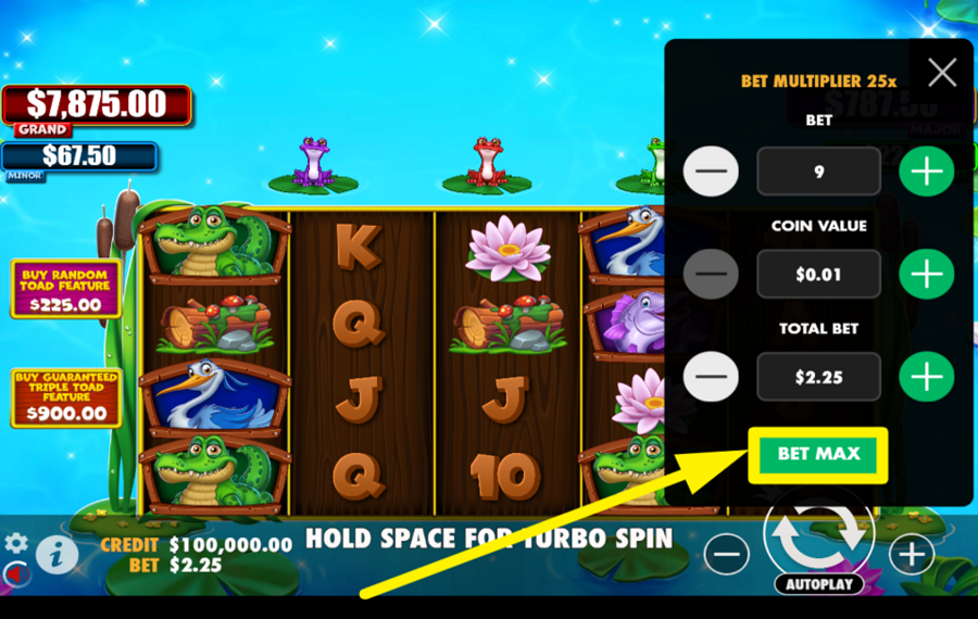 Tiny Toads ADJUST THE BET TO THE MAXIMUM.