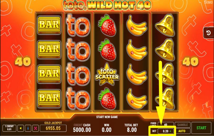 Toto Wild Hot 40 ОПРЕДЕЛИТЕ СВОЮ СТАВКУ.