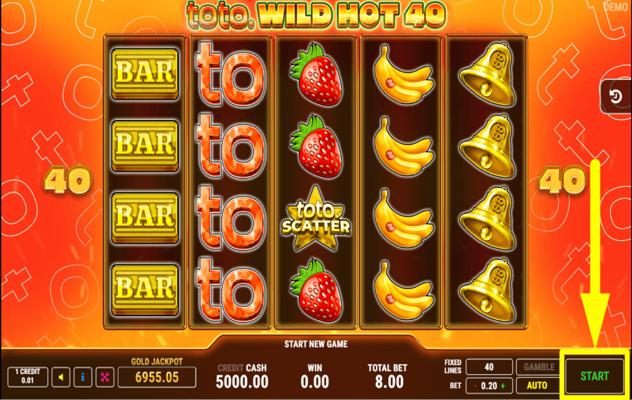 Toto Wild Hot 40 ОТПРАВЛЯЙТЕСЬ НА ПРОГУЛКУ.