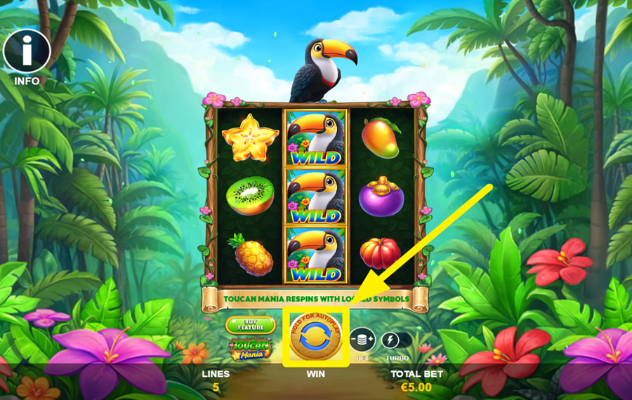 Toucan Mania ЗАЖГИ ВОЛНЕНИЕ.