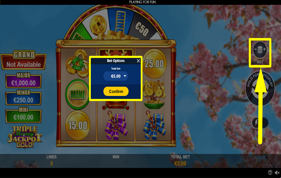Triple Money Jackpot Gold GEBEN SIE IHREN WETTSATZ AB.