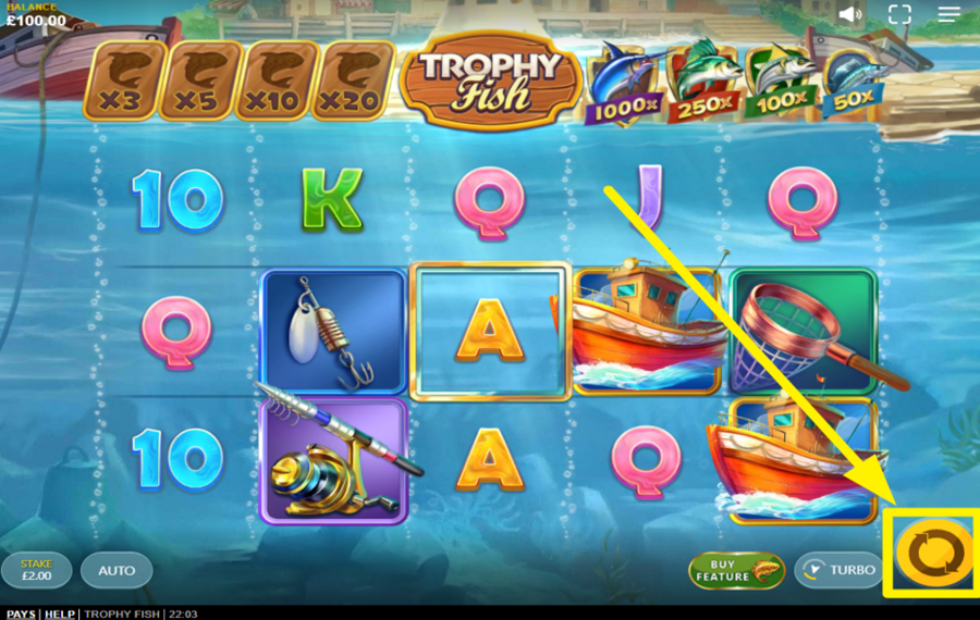 Trophy Fish JOIN THE SPINNING.