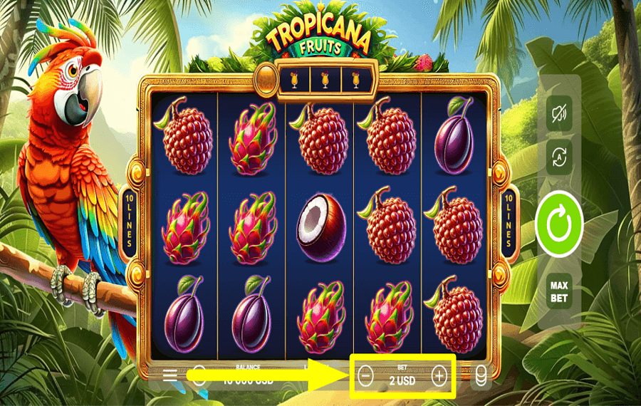 Tropicana Fruits DETERMINAR LA APUESTA.