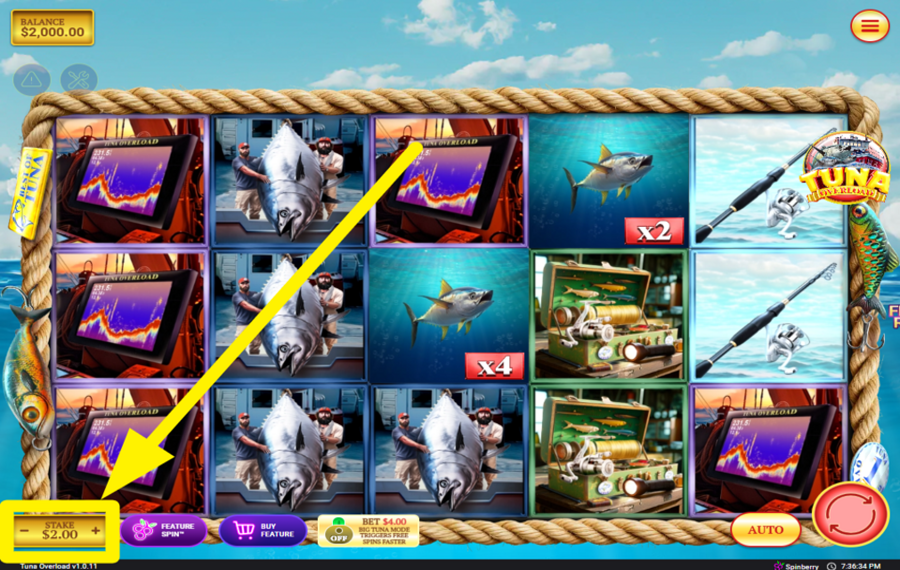 Tuna Overload ADJUST YOUR WAGER.