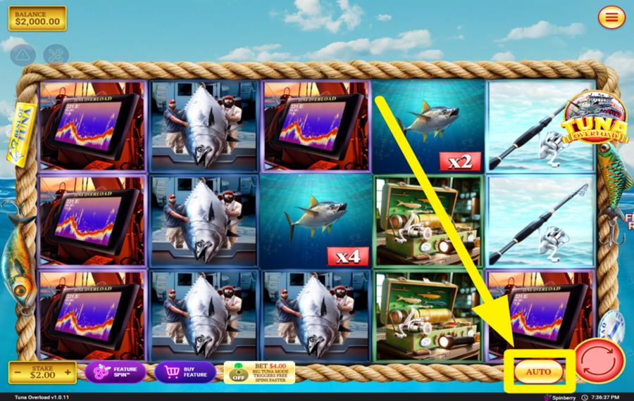 Tuna Overload USE THE AUTOPLAY FEATURE.