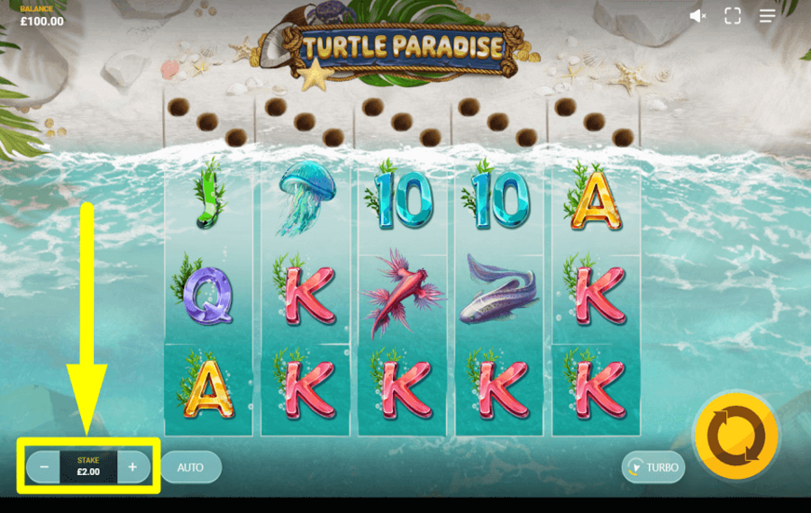 Turtle Paradise ДЕЛАЙТЕ СВОЮ СТАВКУ.
