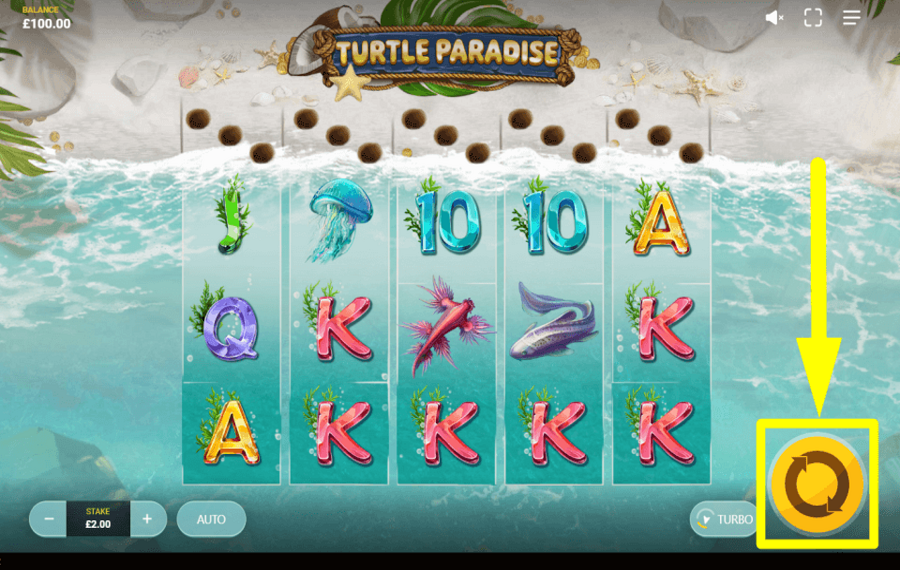 Turtle Paradise ОТПРАВЛЯЙТЕСЬ НА ПРОГУЛКУ.