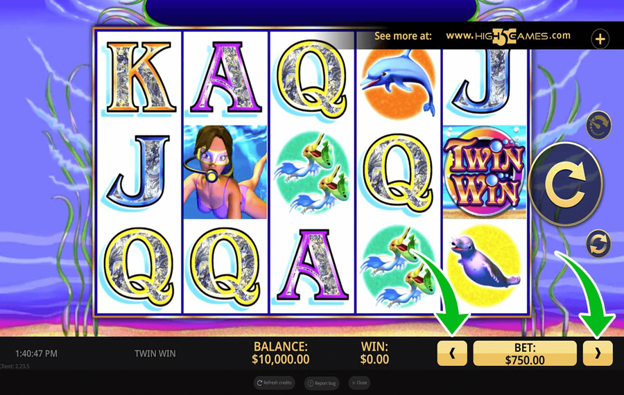 Twin Win Choose your bet amount