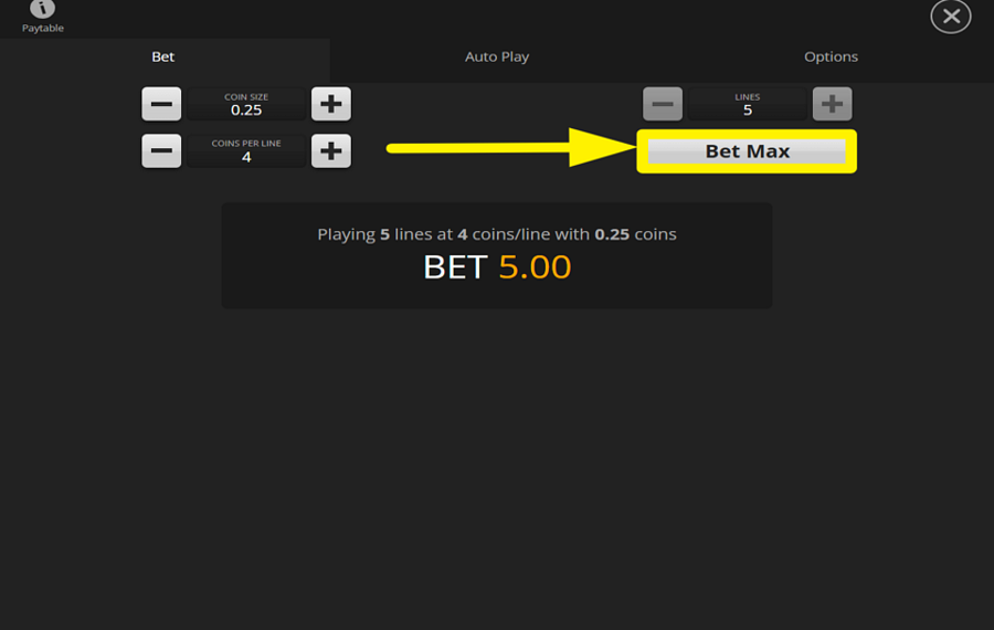 Unbridled Fortune ESTABLISH THE HIGHEST WAGER AMOUNT.