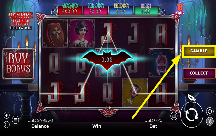 Vampire Vault Hold and Win TAKE THE RISK.