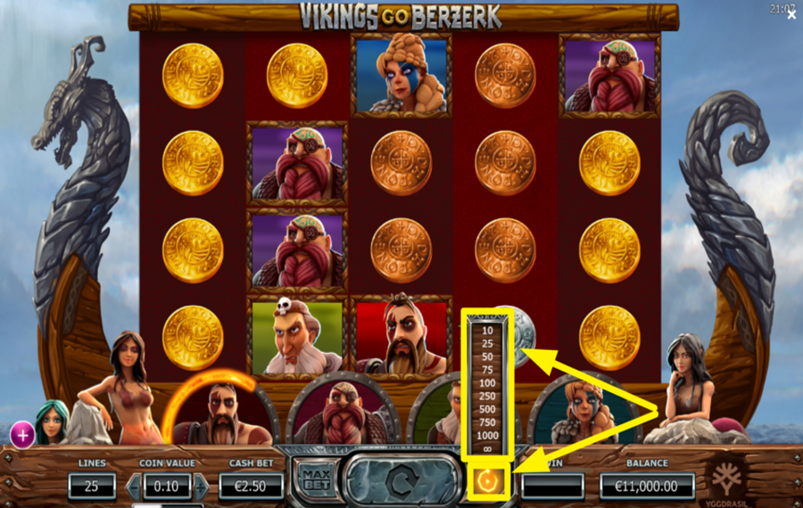 Vikings Go Berzerk ACTIVER LA LECTURE AUTOMATIQUE.