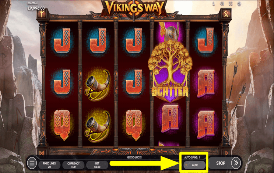 Vikings Way CONTINUE WITH AUTOPLAY.