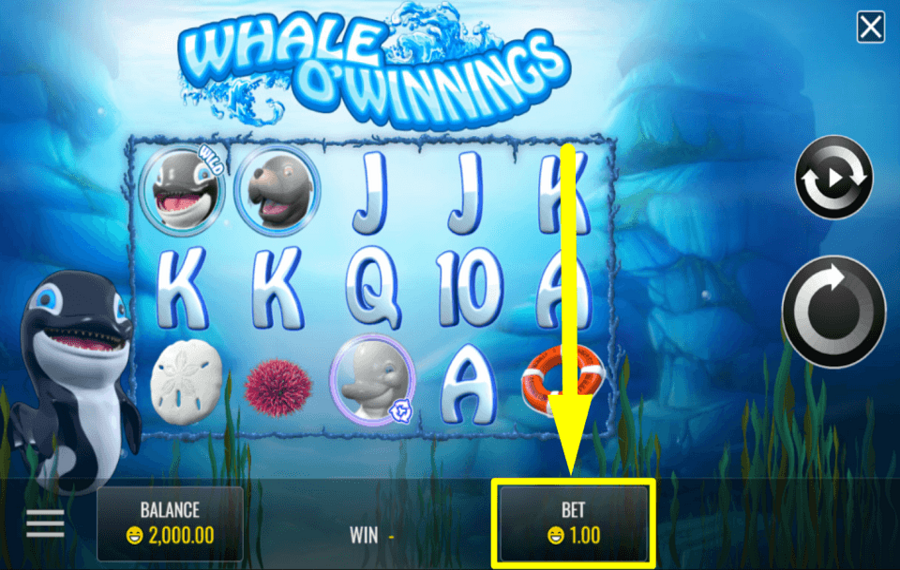 Whale O Winnings CAST YOUR BET.
