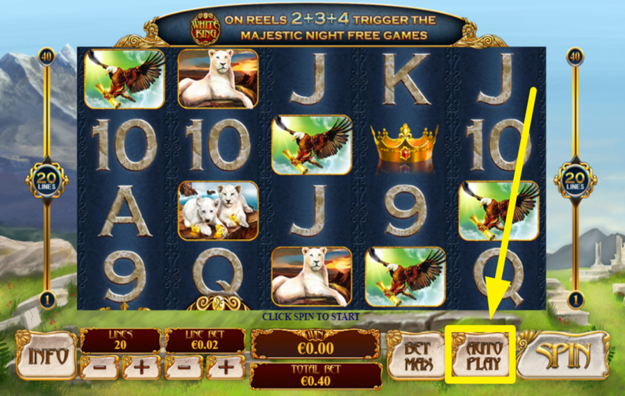 White King LÖSEN SIE AUTOMATISCHE SPINS AUS.