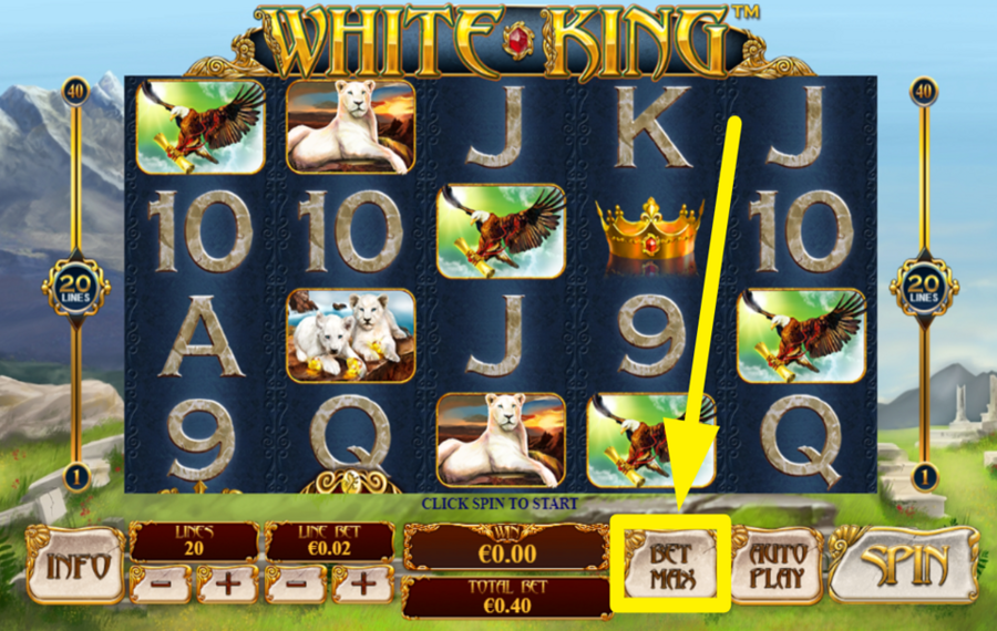 White King FESTLEGEN SIE DEN MAXIMALEN EINSATZ.