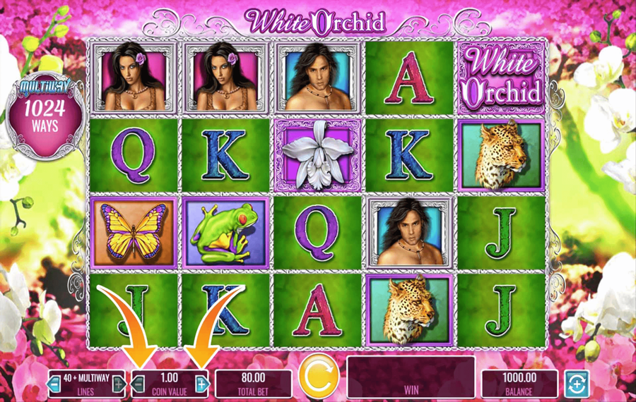 White Orchid Choisissez le montant de votre mise