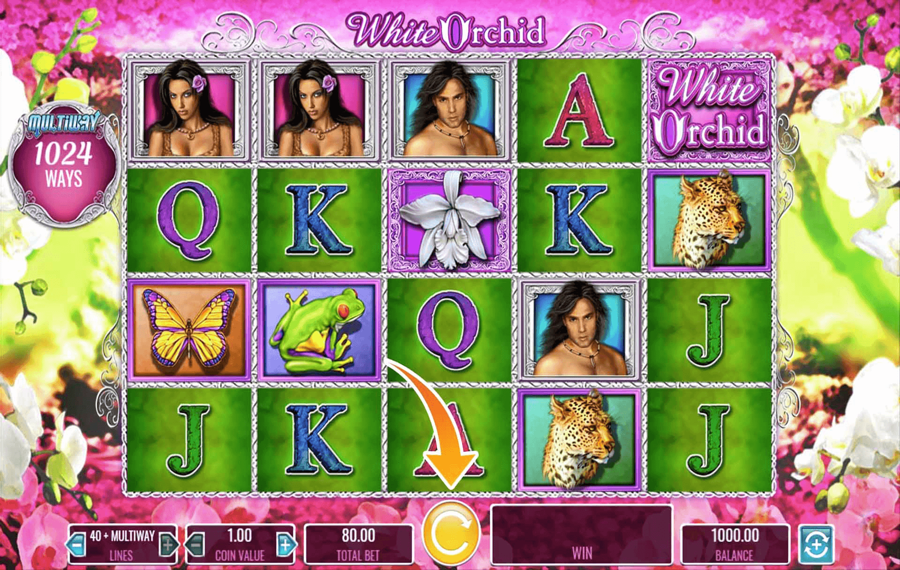 White Orchid Cliquez/Appuyez sur le bouton « Spin »