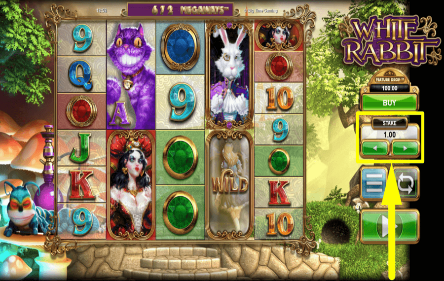 White Rabbit ELIGE LA APUESTA TOTAL.