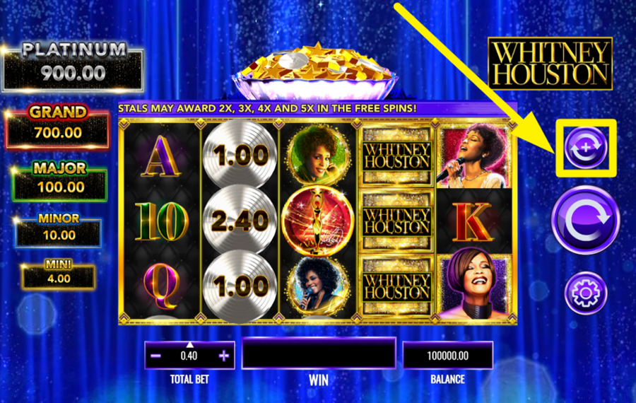 Whitney Houston ACTIVER L'ESSORAGE AUTOMATIQUE.