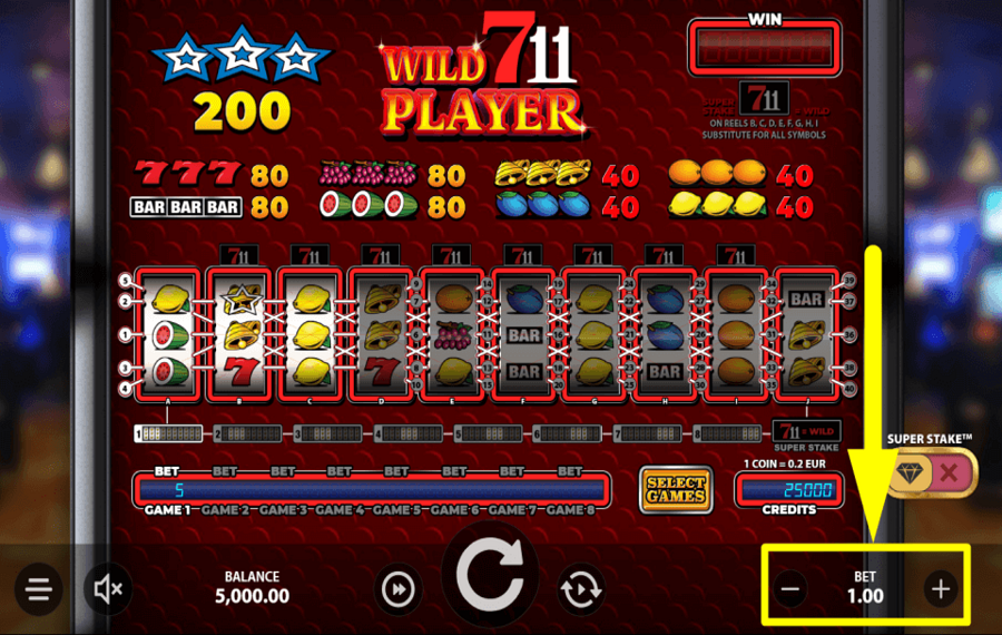 Wild711Player ВЫБЕРИТЕ ОБЩУЮ СТАВКУ.