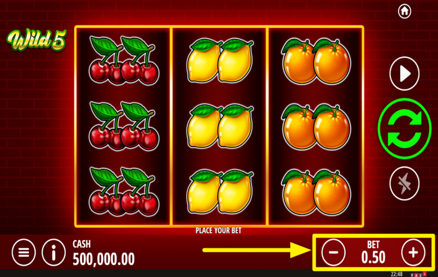 Wild 5 DETERMINE YOUR STAKE.