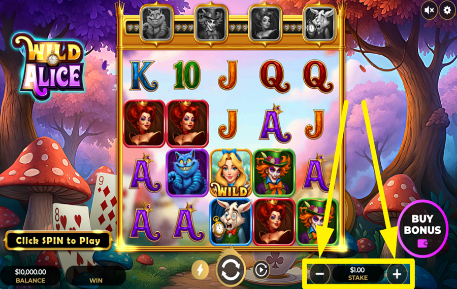 Wild Alice DECIDE ON YOUR BETTING AMOUNT.