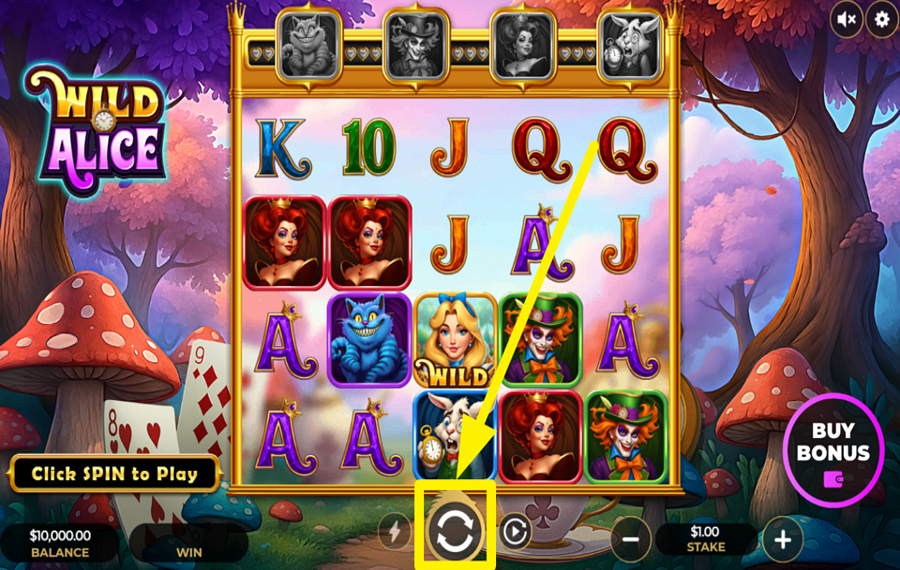 Wild Alice JOIN THE SPINNING!