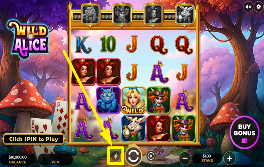 Wild Alice UNLEASH TURBO CHARGE.