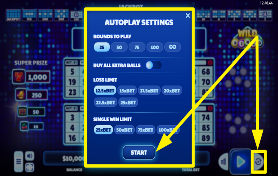 Wild Bingo UTILIZZARE LA RIPRODUZIONE AUTOMATICA.