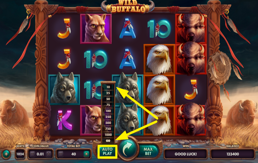 Wild Buffalo ENABLE AUTOPLAY.