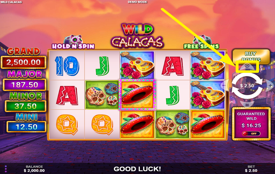 Wild Calacas UTILISEZ DES TOURS AUTOMATISÉS.