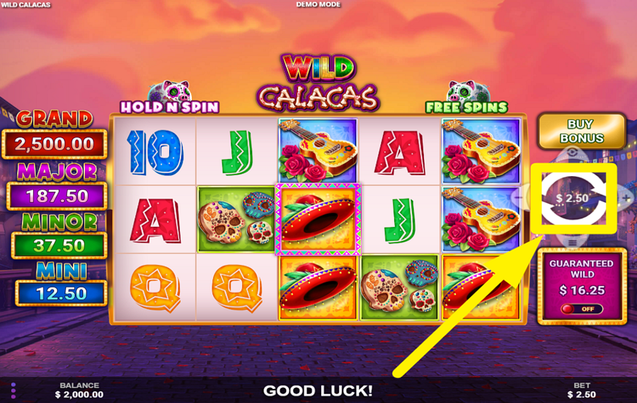 Wild Calacas ENTREZ DANS L'ACTION !