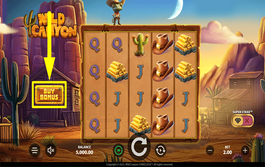 Wild Canyon SHOP FOR SPINS.