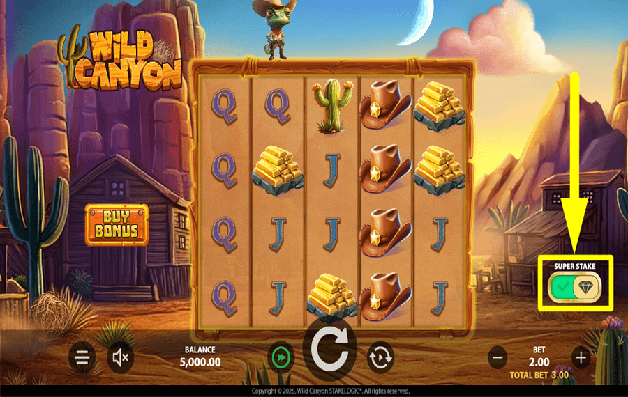 Wild Canyon SET ANTE BET.