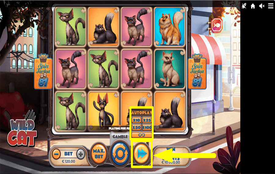 Wild Cat ПРОДОЛЖИТЬ АВТОМАТИЧЕСКИ.