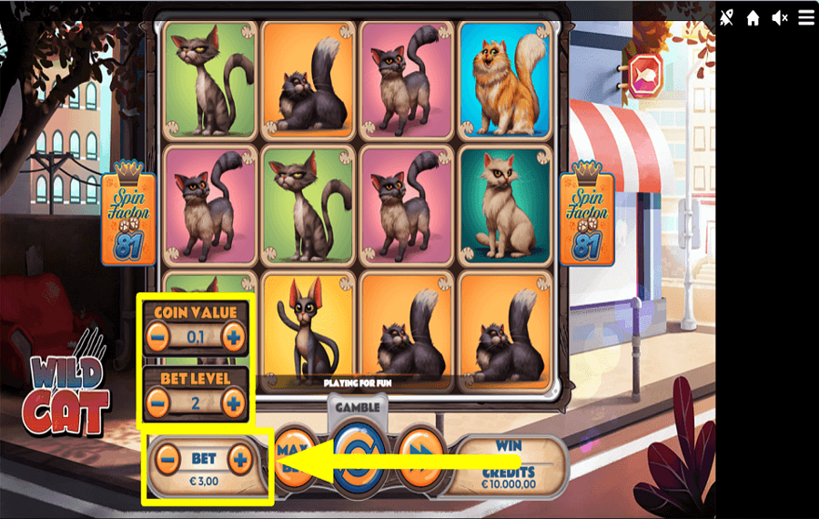 Wild Cat ВЫБЕРИТЕ ОБЩУЮ СТАВКУ.