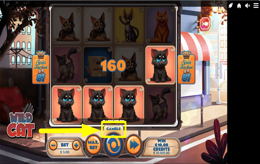 Wild Cat ХОТИТЕ ИГРАТЬ?