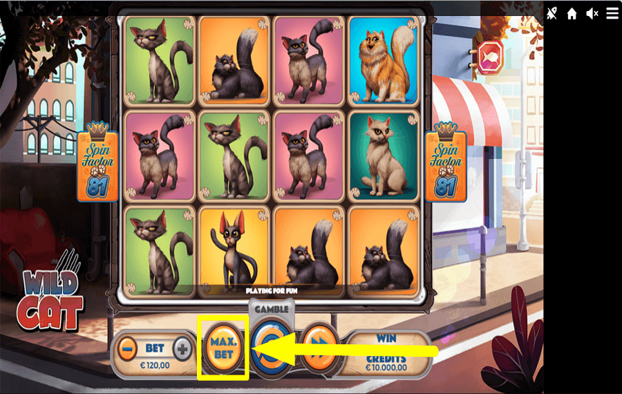 Wild Cat СТАВЬТЕ НАИБОЛЬШУЮ СУММУ.