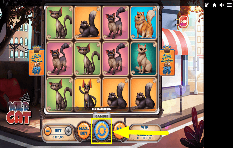 Wild Cat НАЧАЛО ИГРЫ.