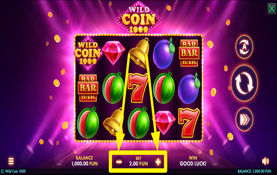 Wild Coin 1000 合計賭け金額を選択してください。