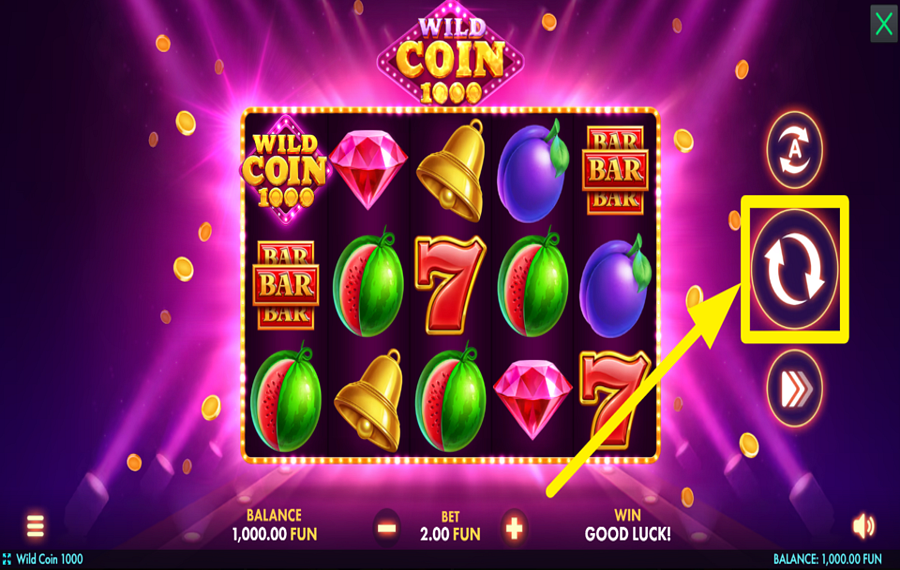 Wild Coin 1000 スピンして勝利を掴め！