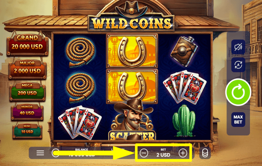 Wild Coins DETERMINE YOUR WAGER.