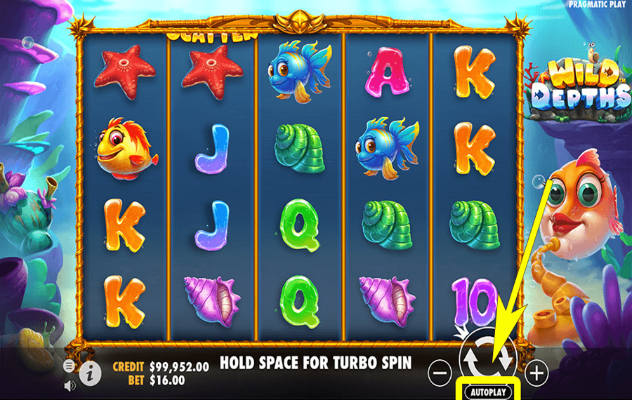 Wild Depths Using the optional “Autoplay” feature.