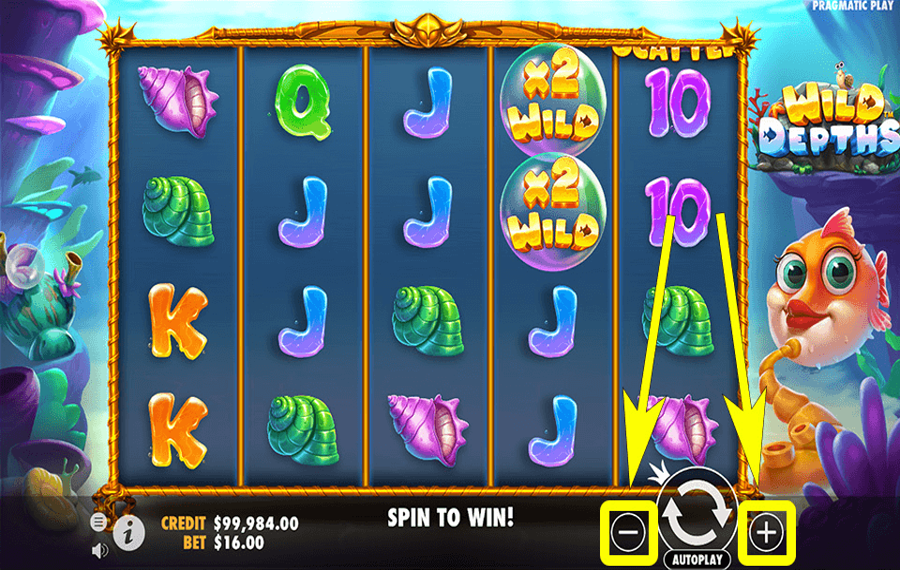 Wild Depths Choose your bet amount.