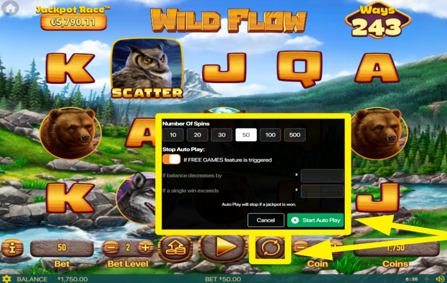 Wild Flow ACTIVER LA LECTURE AUTOMATIQUE.